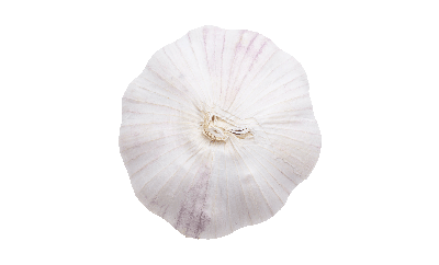 knoblauch