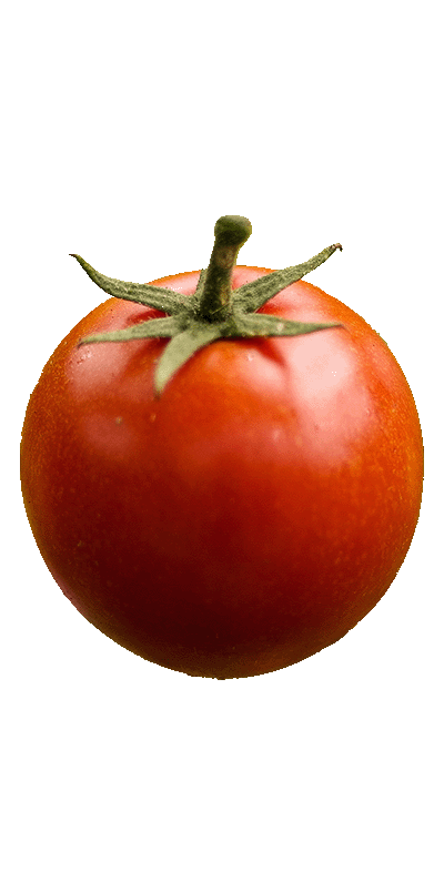 tomate